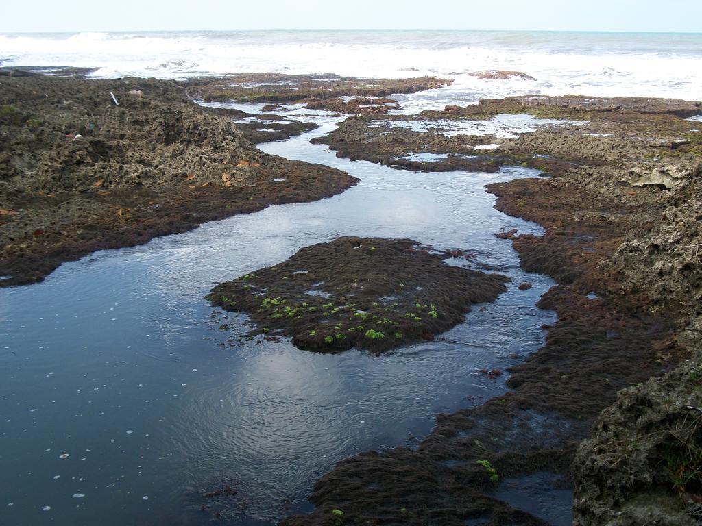 קאוויטה Piscina Natural On The Sea מראה חיצוני תמונה
