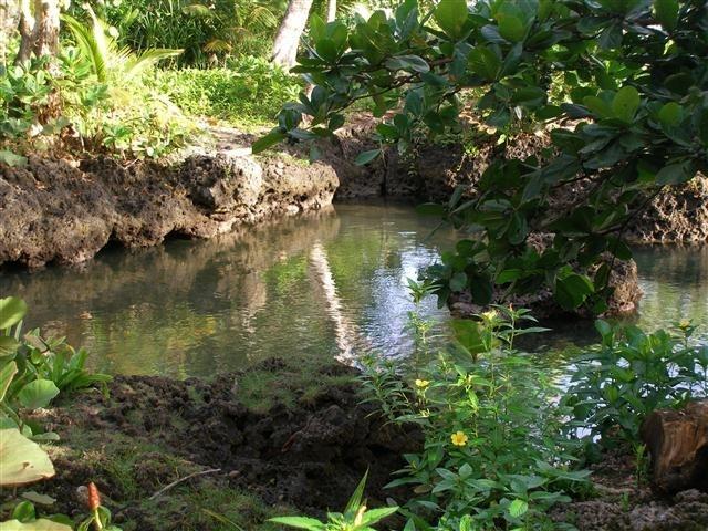 קאוויטה Piscina Natural On The Sea מראה חיצוני תמונה