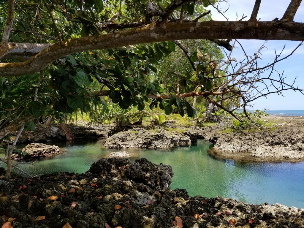 קאוויטה Piscina Natural On The Sea מראה חיצוני תמונה